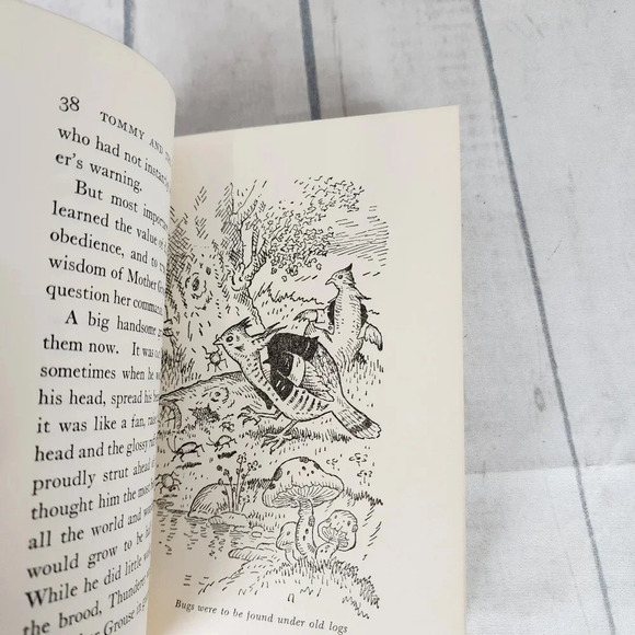 Vintage 1920s Hardcover Storybook Tommy  and the Wishing Stone Illustrated - Picture 12 of 15